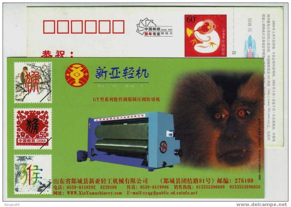 PRIMATES Cercopithecidae Animal West Africa Mandrill,CN04 Xinya Light-duty Machine Advertising Postal Stationery Card - Singes