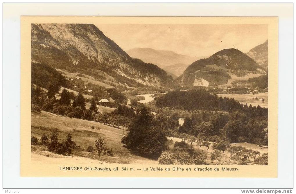 Taninges: La Vallée Du Giffre En Direction De Mieussy (07-2466) - Taninges