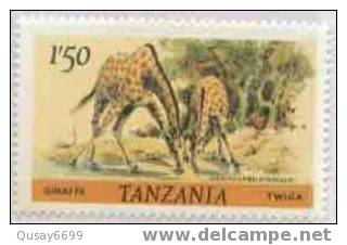 Tanzania , 1980: , Animal - Giraffe