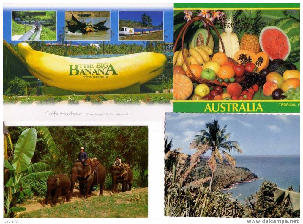 4 Bananas Postcard / 4 Carte De Bananes - Culturas