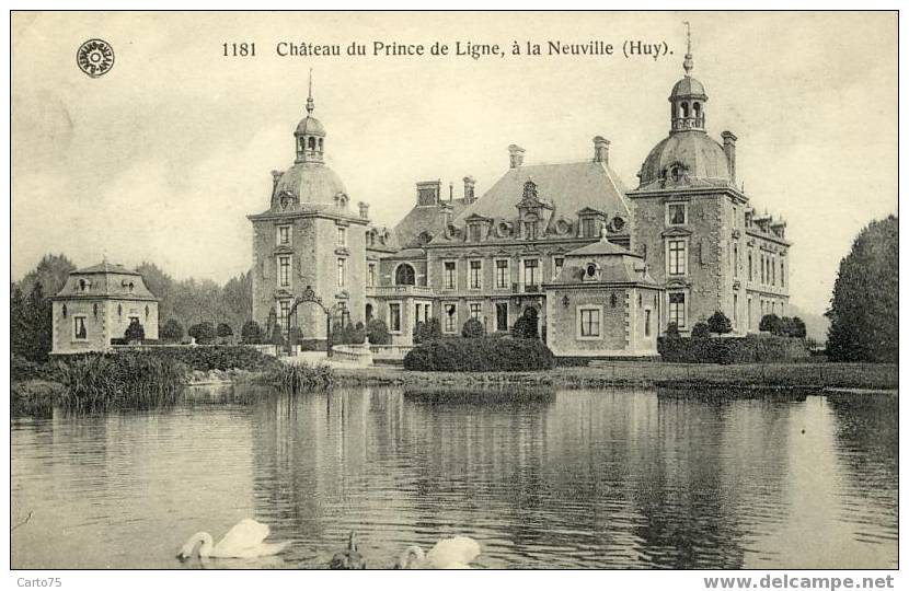 BELGIQUE - LA NEUVILLE - Château Du Prince De Ligne à La Neuville - Environs De HUY - Huy