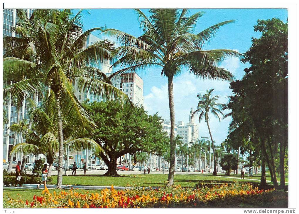 MIAMI Looking From Bayfront Park At Biscayne Blvd. - Miami