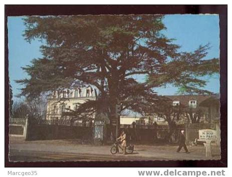 19302 Gagny Le Cèdre Beau Plan De Solex édit.raymon Belle Cpsm - Gagny