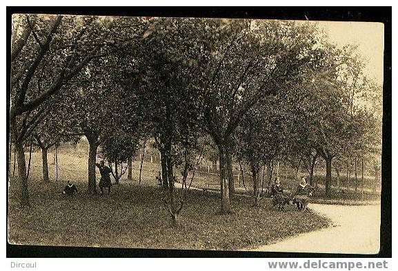 6133 - Fouron-le-comte  Pensionnat Des Ursulines   UNE PARTIE DU PARC - Fourons - Voeren