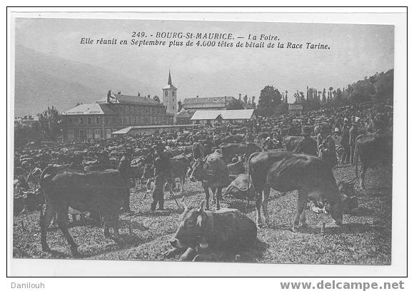 73 // BOURG ST MAURICE / La Foire, Elle Réunit En Septembre Plus De 4000 Têtes De Bétail De Race Tarine, N° 249 Béroud é - Bourg Saint Maurice