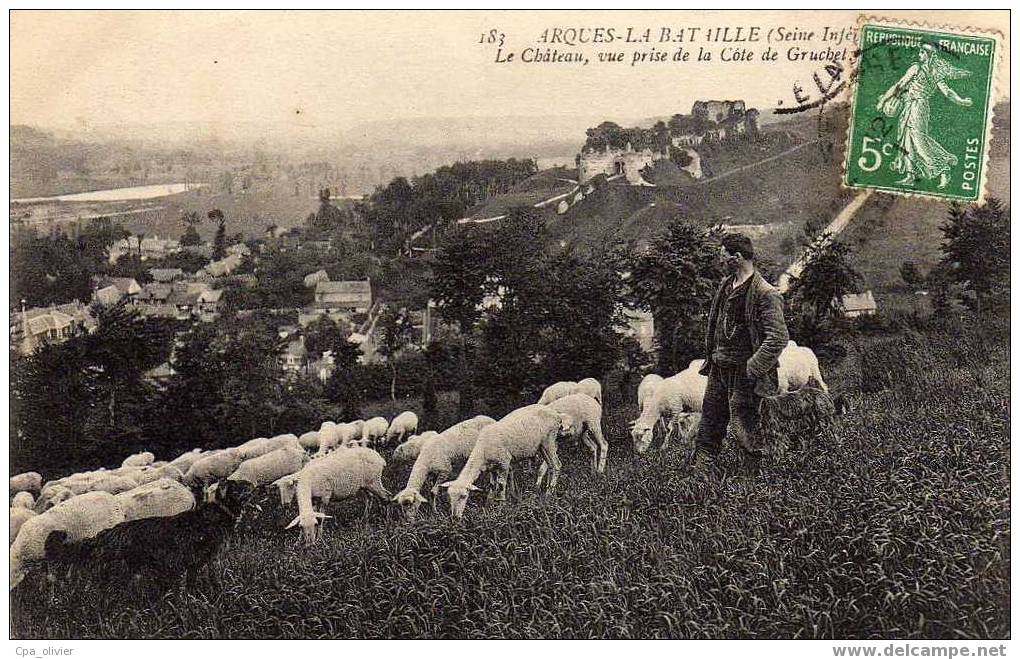 76 ARQUES LA BATAILLE Chateau, Vue Prise De Cote Gruchet, Animée, Berger Et Moutons, Beau Plan, Ed ND 183, 190? - Arques-la-Bataille