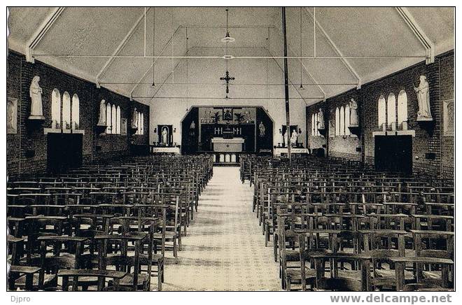 Beerse  (den Hout) Kerk OLV Alt Bijstand - Beerse