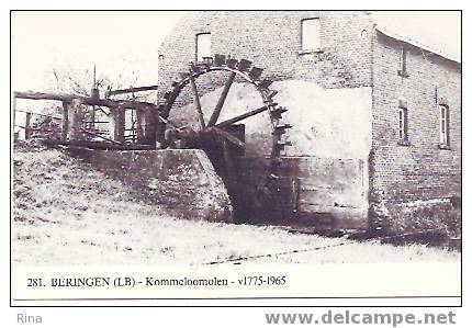 Molen Beringen Kommeloomolen - Beringen