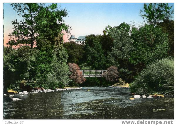 87 - HAUTE VIENNE - ST LEONARD De NOBLAT - LA MAULDE - LE CHATEAU Du MURAUD - BELLE CARTE - CIGOGNE 87-161-24 - Saint Leonard De Noblat