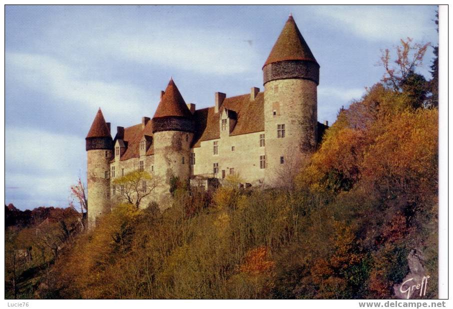 CULAN -   N° 185 3  -  Château  - Forteresse Où Séjournèrent Jeanne D´Arc Et Louis XI, Façade Sur L´ARON - Culan