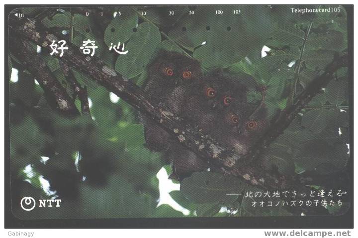 OWL - JAPAN - H046 - 431-818 - Águilas & Aves De Presa