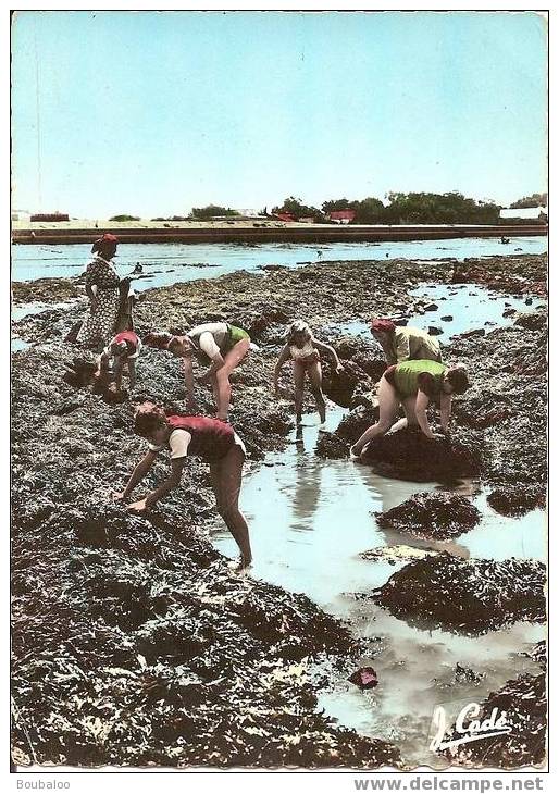 SAINT BREVIN - LA PECHE AUX MOULES - Saint-Brevin-l'Océan