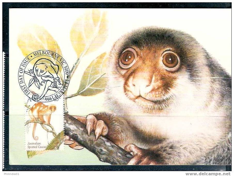Spotted Cuscus, Wildlife, Animal, Mammal, Australia - Indonesia Joint Issue Max-Card 1996 Australia # 7898 - Apen