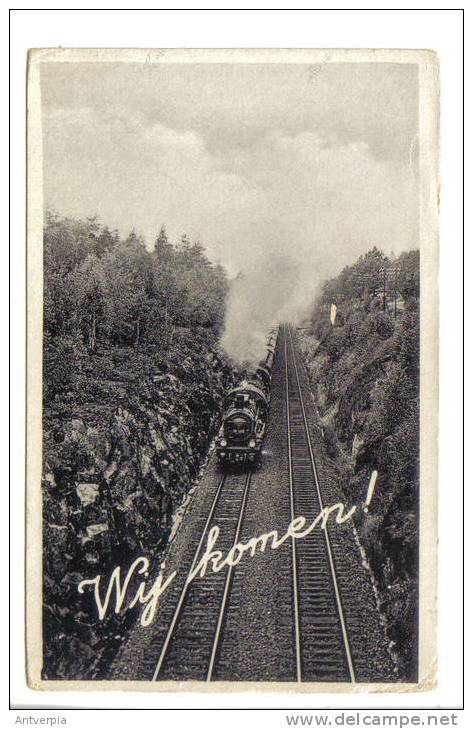 Train A Vapeur , Steamtrain ,stoomtrein Photocarte - Materiale