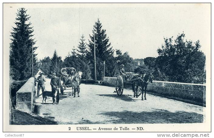 19 - CORREZE - USSEL - AVENUE De TULLE - ATTELAGE - BELLE CARTE - Edit. N.D. 2 - Ussel