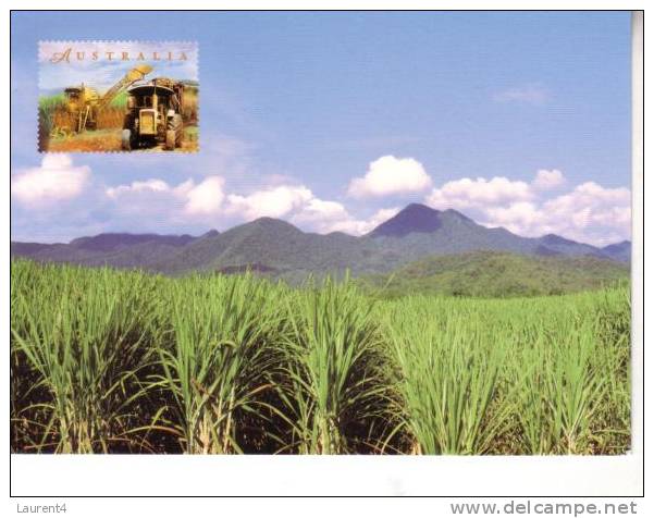 2 Food Postcards - Sugar - 2 Carte Sur L´agriculture Et Sucre - Culturas