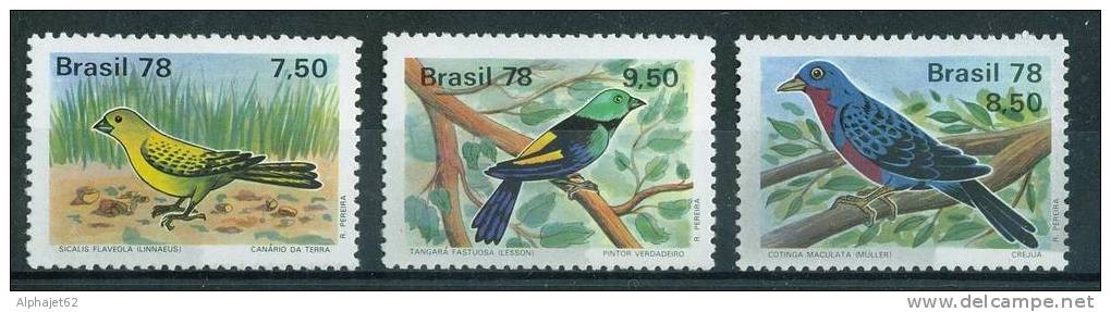 Faune - OISEAUX - BRESIL - Protection De La Nature - N° 1310 à 1312 ** - 1978 - Unused Stamps