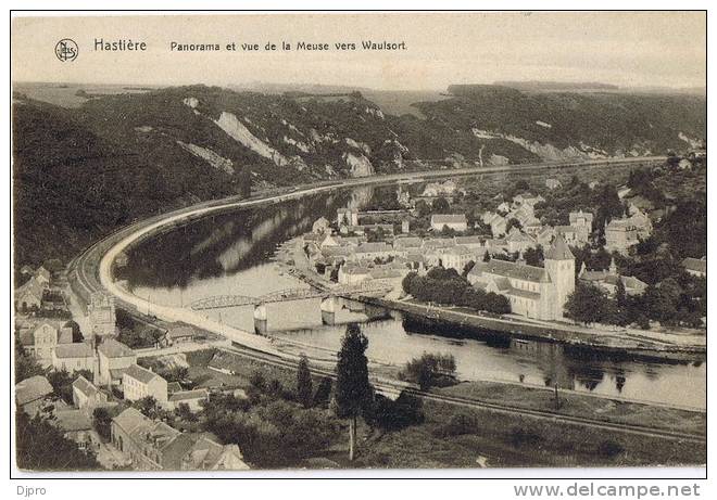 Hastière  Panorama Et Vue De La Meuse Vers Waulsort  Nr 18 - Hastiere