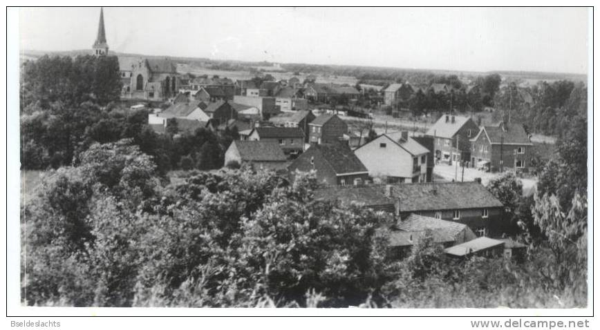 Opoeteren Panorama - Maaseik