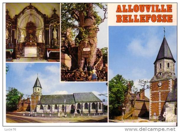 ALLOUVILLE BELLEFOSSE -   4 Vues : Eglise Et Le Célèbre Chêne - Allouville-Bellefosse