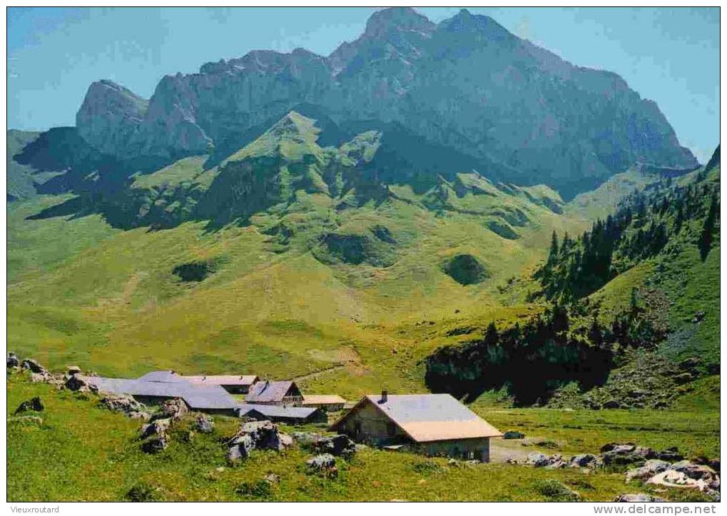 CPSM.VACHERESSE. LES CHALETS D´ALPAGE ET LES CORNETTES DE BISES. DATEE 1980. - Vacheresse