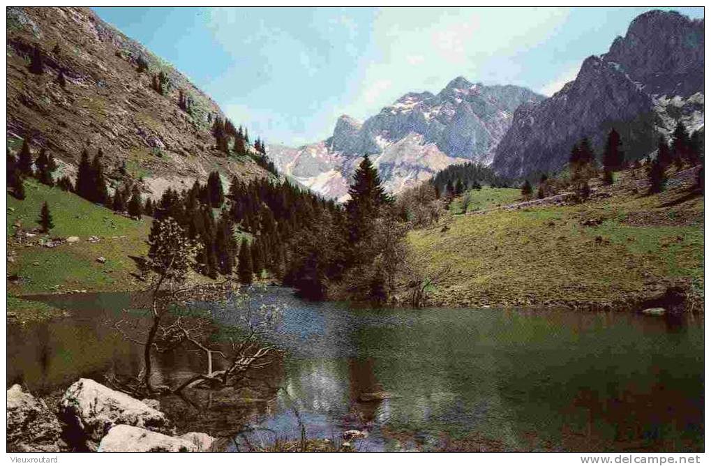 CPSM. VACHERESSE. LAC DE FONTAINE ET LES CORNETTES DE BISE. DATEE 1980. - Vacheresse