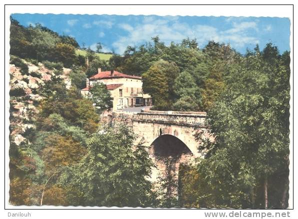 07 / VERNOUX, Pont Du Belay, A 86037 / Ed Cellard / CPSM Color, Bords Dentellés, - Vernoux