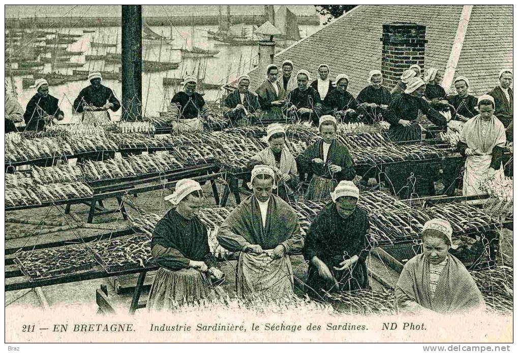 CPA En Bretagne Industire Sardiniere Sechage Des Sardines - Industrie