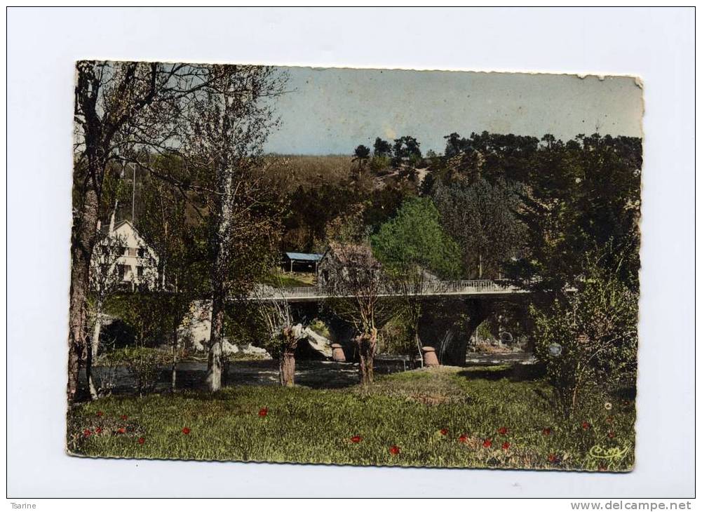 72 - Le Pont Sur La Sarthe à St Léonard Des Bois - Saint Leonard Des Bois