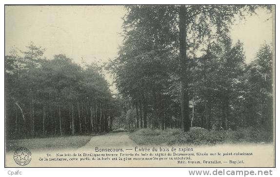 CPA BONSECOURS / ENTREE DU BOIS DE SAPINS-ROUTE - Péruwelz