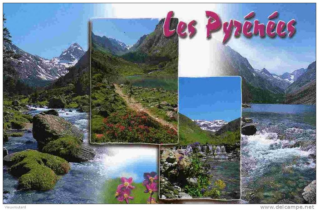 CPSM.LES PYRENEES. 3 VUES. - Midi-Pyrénées