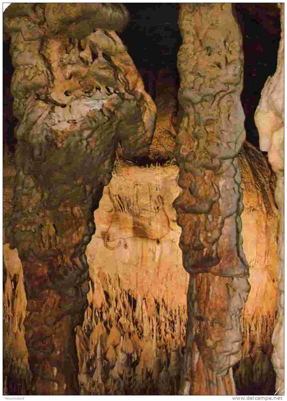 CPSM. GOURDON EN QUERCY. GROTTES PREHISTORIQUES DE COUGNAC.SALLE DES PEINTURES.LE GRAND BOUQUETIN. - Gourdon