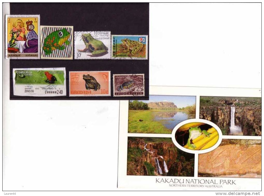 Timbres Et Carte Sur Les Grenouille - Stamps And Postcard On Frog - Frösche