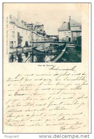Belgique:COUVIN (Namur.):Vue De COUVIN.1899.Photo Eug.Thomas Dalcq,Couvin. - Couvin