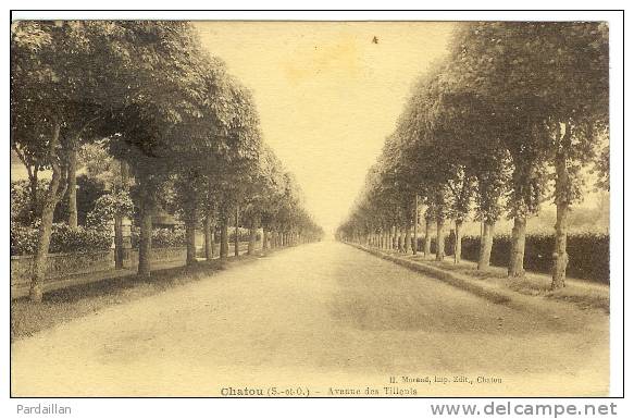 78. CHATOU.  AVENUE DES TILLEUILS. BEAU PLAN. - Chatou