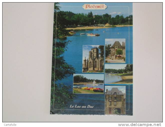 (345) -1- Carte Postale Sur Ploermel Dans L'état - Ploërmel