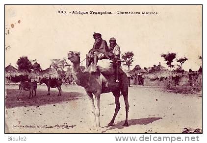 Afriques Francaise   Chameliers Maures - Guinée