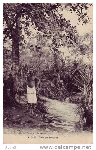 A.O.F   Coin De Brousse - Guinée