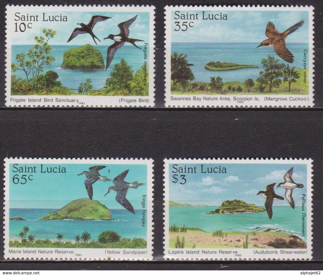 Faune - Frégate, Puffin - Oiseaux Marins - SAINTE LUCIE - Réserves Naurelles - N° 759 à 762 ** - 1985 - St.Lucia (1979-...)