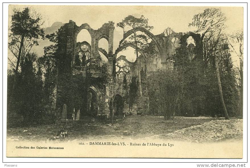 DAMMARIE Les LYS ( Seine Et Marne )  . Ruine De L´Abbaye Des Lys - Dammarie Les Lys