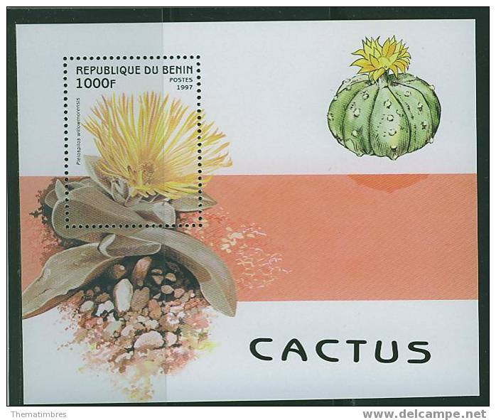 P0256 Cactus Bloc 38 Benin 1997 Neuf ** - Cactussen