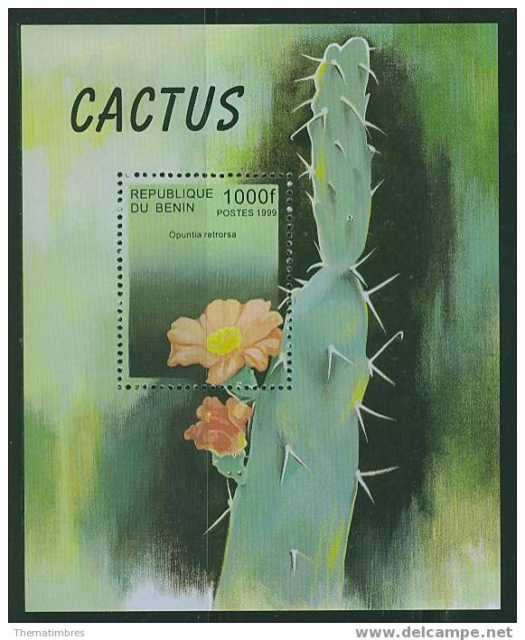 P0257 Cactus Bloc 59 Benin 1999 Neuf ** - Cactusses