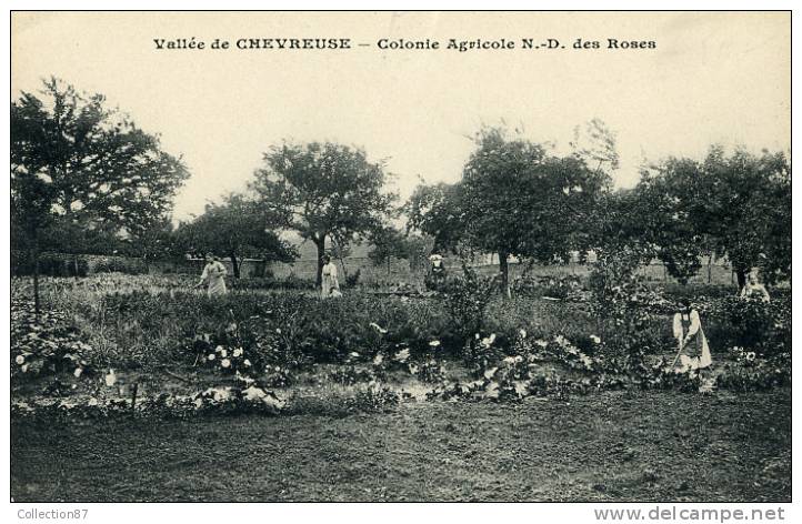 78 - YVELYNES - CHEVREUSE - COLONIE AGRICOLE De N.D. Des ROSES - Chevreuse