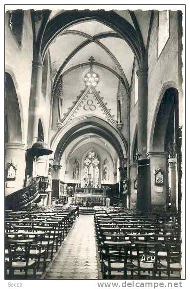 BARJOLS - Intérieur De L´Eglise - Barjols