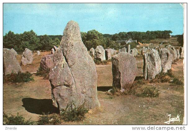 CARTE POSTALE DE MENHIRS A CARNAC - ALIGNEMENTS DE KERMARIO - Dolmen & Menhirs