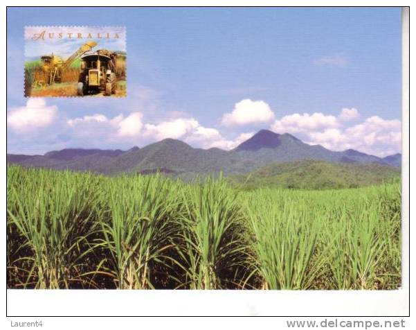 2 Food Postcards - Sugar - Tea - Rice - 2 Carte Sur L´agriculture Et Sucre - The - Riz - Cultures