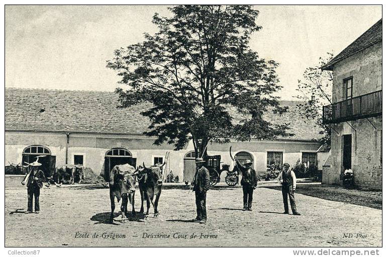 78 - YVELYNES - GRIGNON - ECOLE D´AGRICULTURE - COUR De FERME - ATTELAGE De BOEUFS - N.D. PHOTO - Grignon