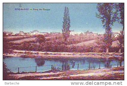 BOIS-de--LEU.- Etang Des Georget.  71 - Other & Unclassified