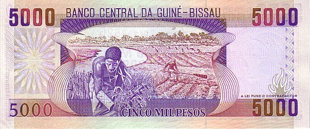 GUINEE-BISSAU    5 000 Pesos   Daté Du 01-03-1993    Pick 14b    ***** BILLET  NEUF ***** - Guinea–Bissau