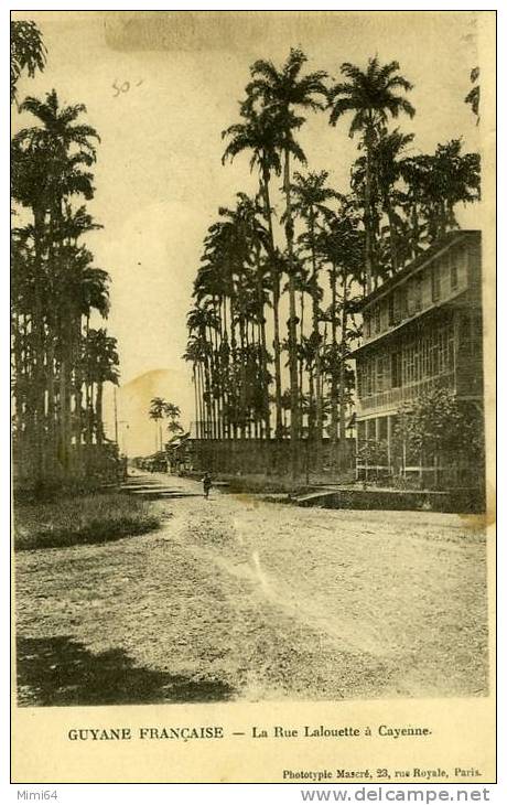 GUYANE - CAYENNE - LA RUE LALOUETTE - - Cayenne